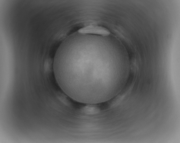 X0000113300280200909281110