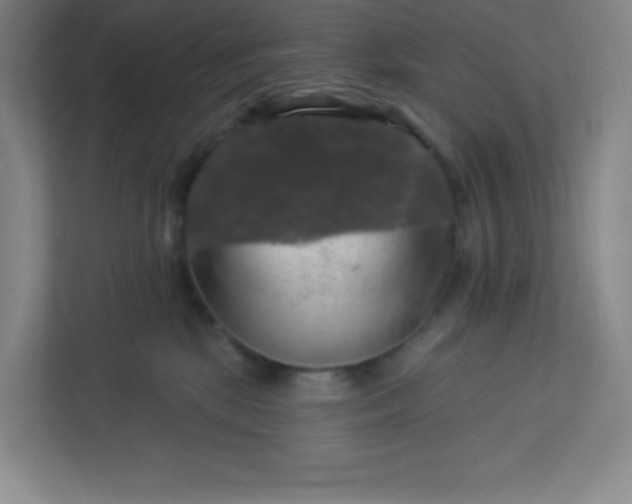 X0000113300281200909281110