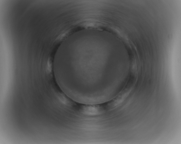 X0000113300282200909281110