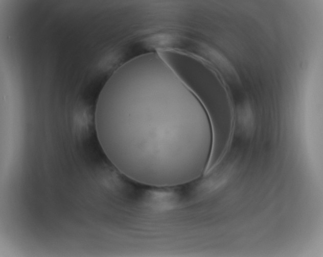 X0000113300284200909281110