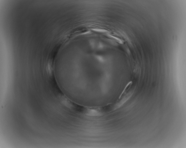 X0000113300285200909281110