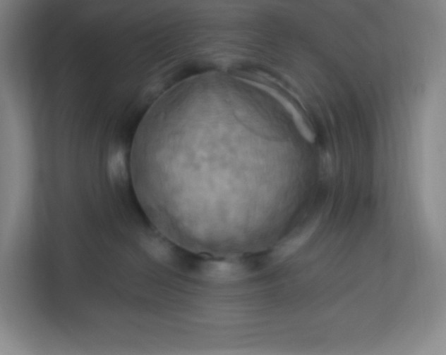 X0000113300286200909281111