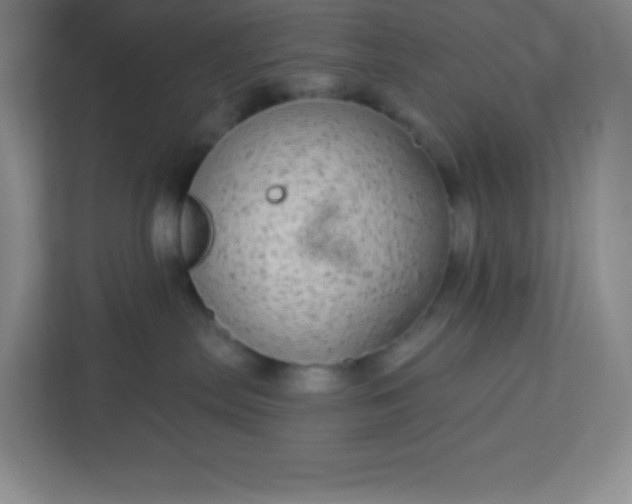 X0000113300287200909281111