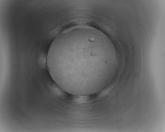 X0000113300288200909281111