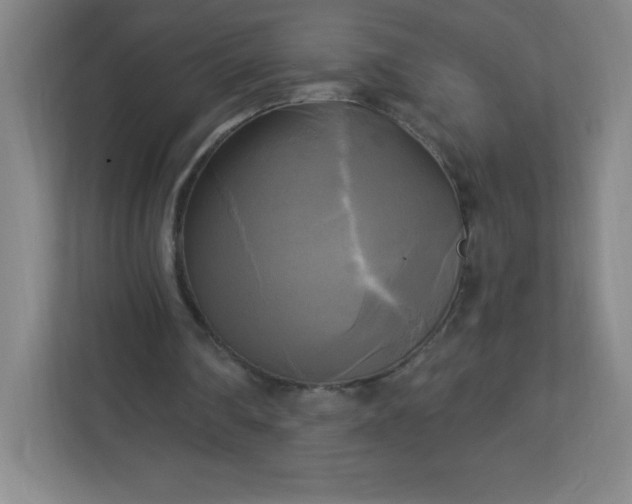 X0000113300290200909281110