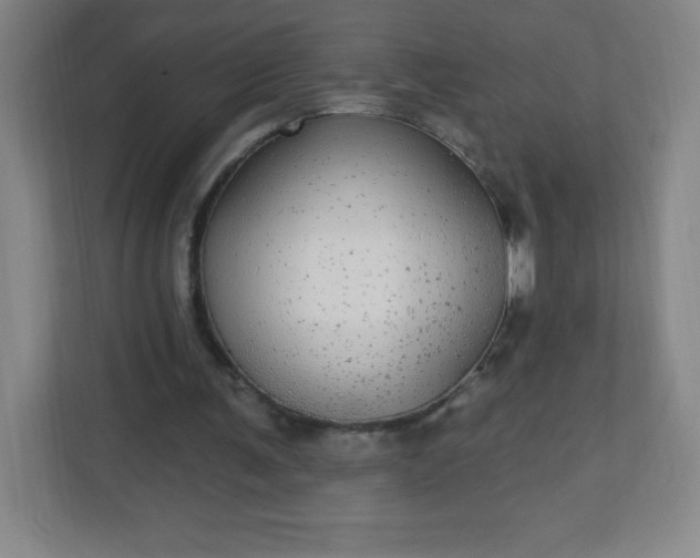 X0000113300291200909281110