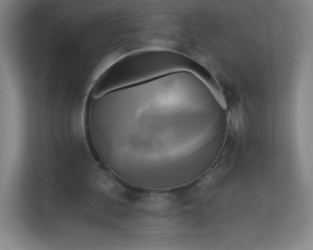 X0000113300292200909281110