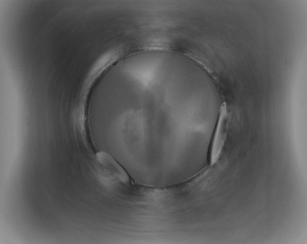 X0000113300293200909281110