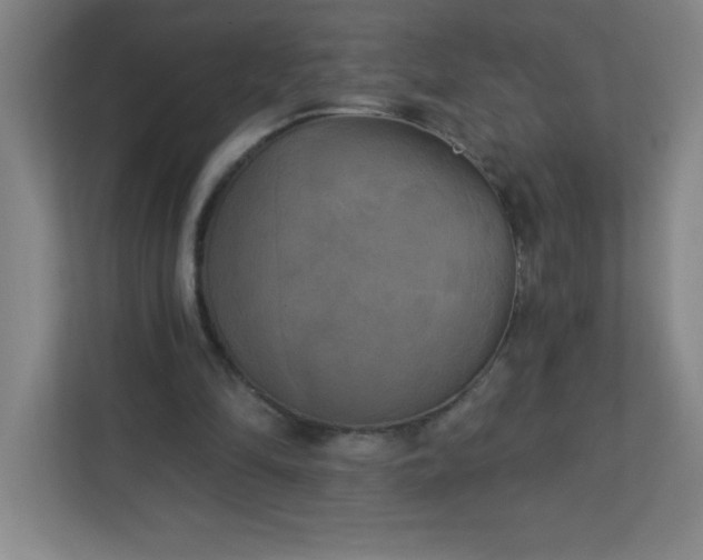 X0000113300294200909281110