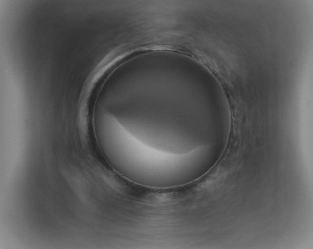 X0000113300295200909281110