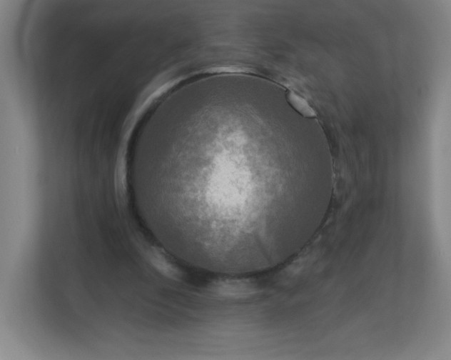 X0000113300296200909281110