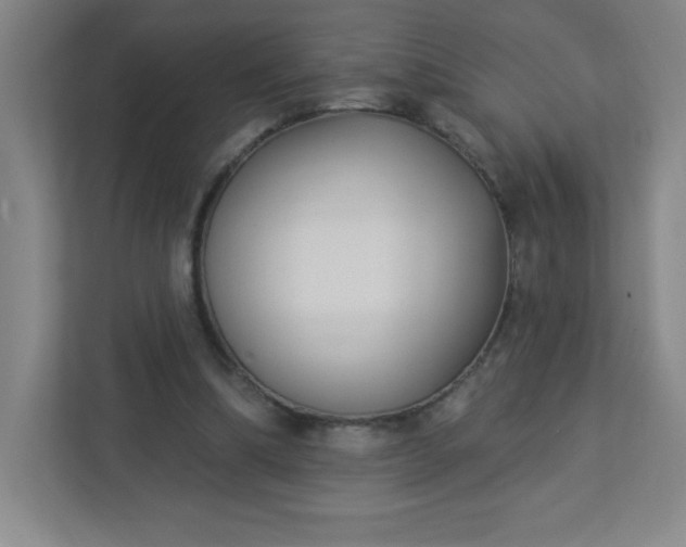 X0000113300298200909281110