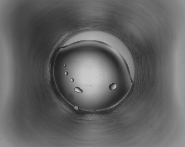 X0000113300300200909281110