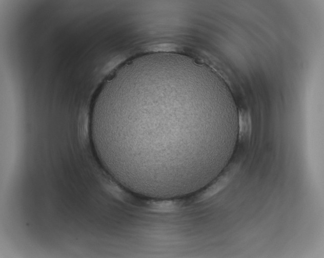 X0000113300301200909281110