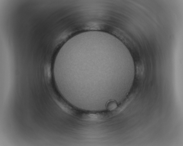 X0000113300302200909281110