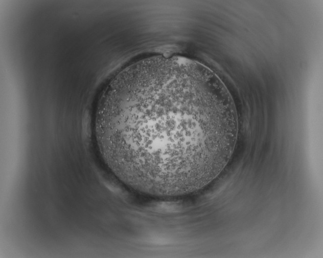 X0000113300303200909281110