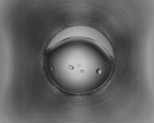 X0000113300305200909281110