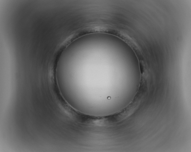 X0000113300306200909281110