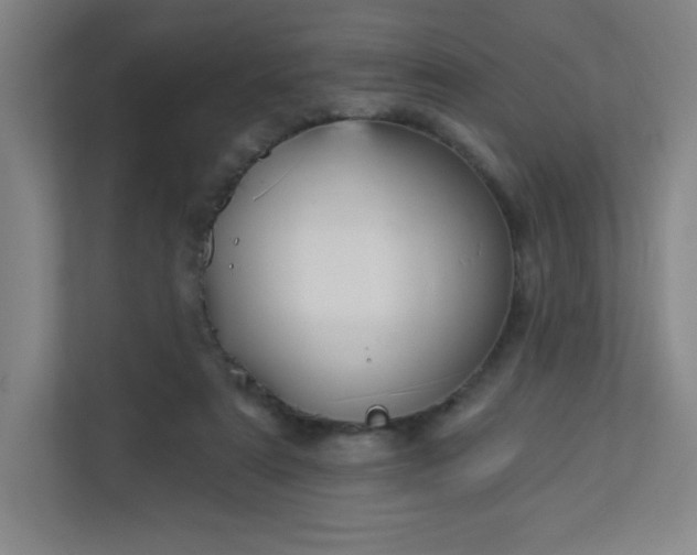 X0000113300307200909281110