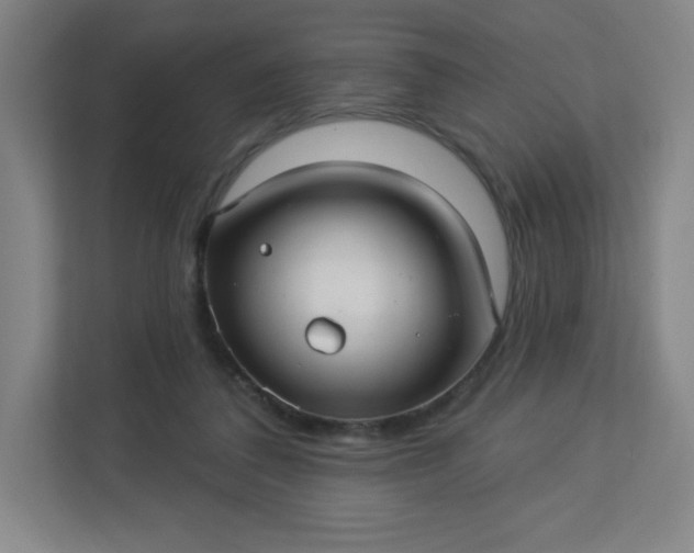 X0000113300308200909281110