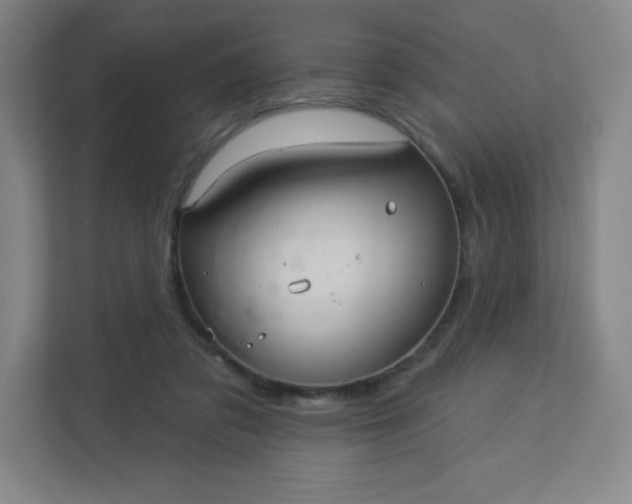 X0000113300309200909281110