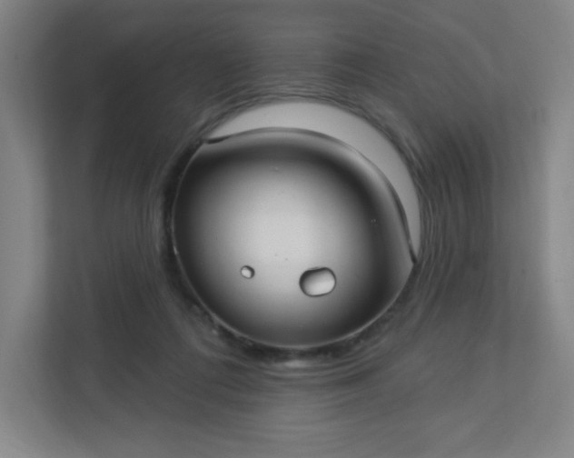 X0000113300312200909281110