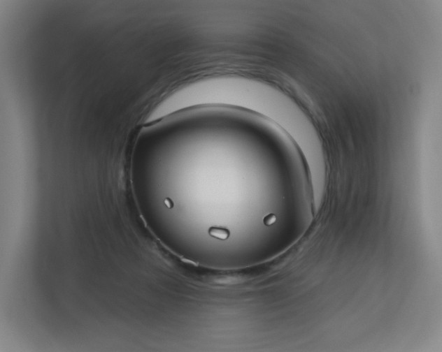 X0000113300313200909281110