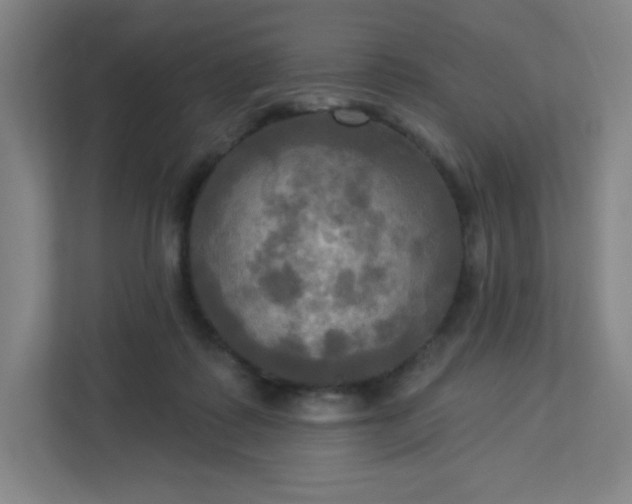 X0000113300315200909281110