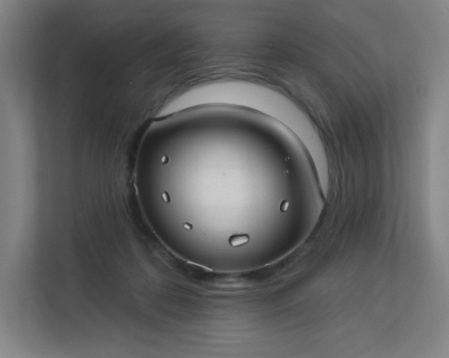 X0000113300316200909281110