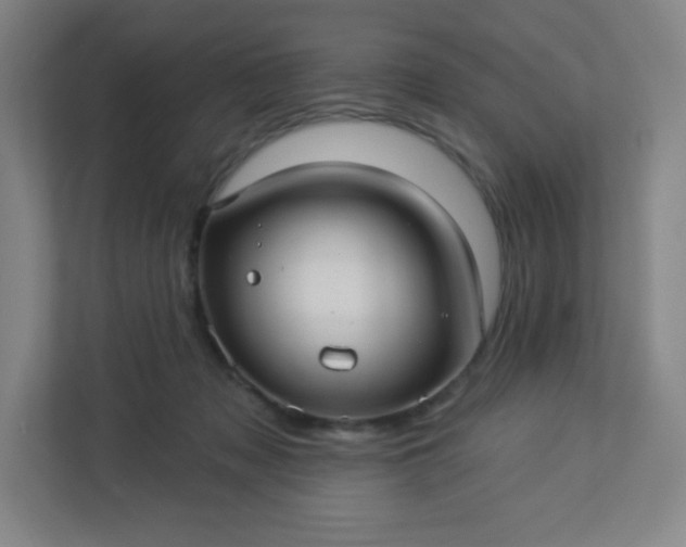 X0000113300317200909281110