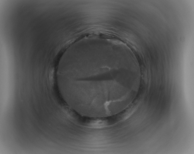 X0000113300319200909281110