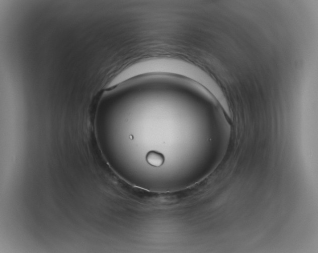 X0000113300320200909281110