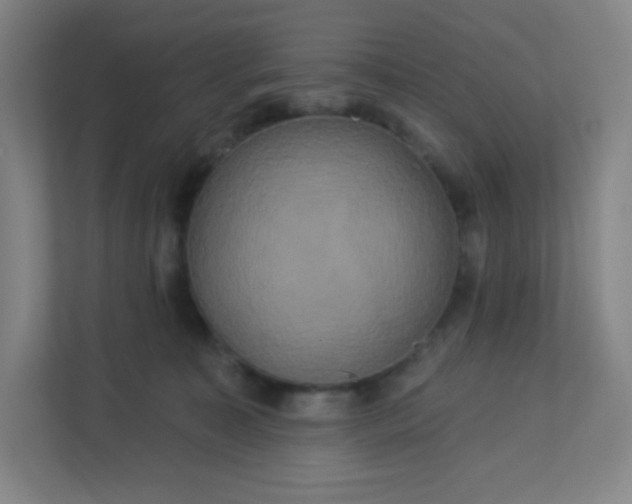 X0000113300323200909281109