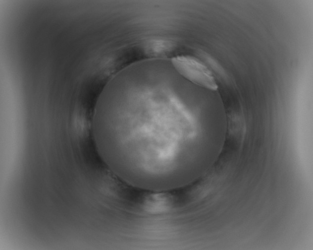 X0000113300324200909281109