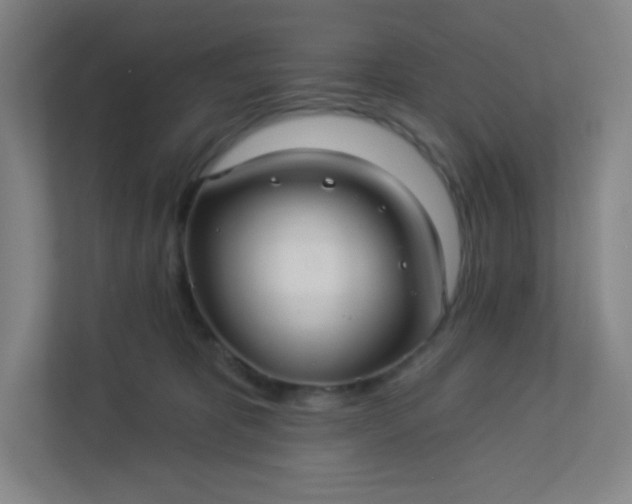 X0000113300325200909281109