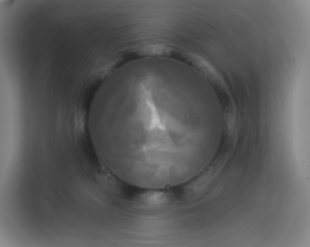 X0000113300326200909281109