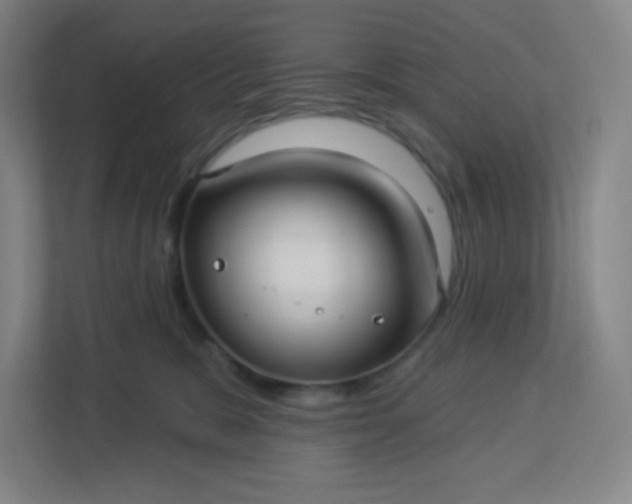 X0000113300327200909281109