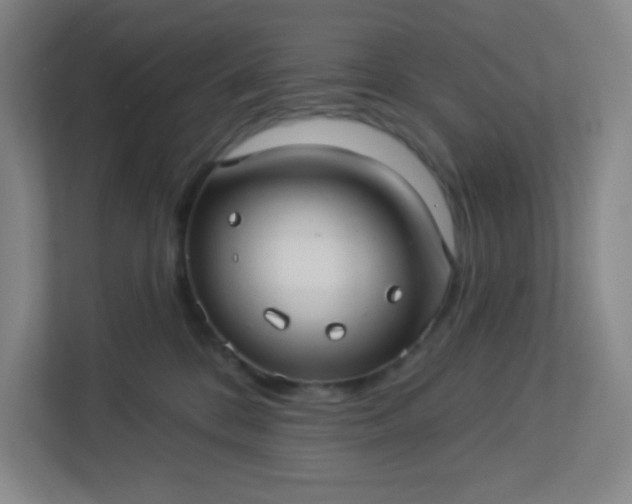 X0000113300328200909281109