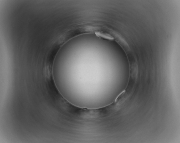 X0000113300329200909281109