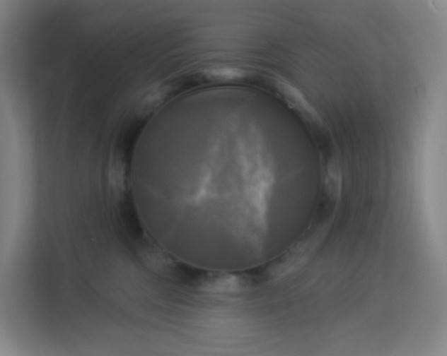 X0000113300330200909281109