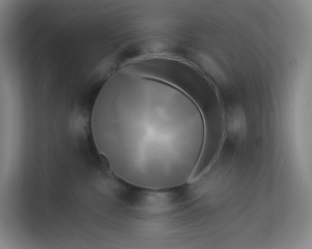 X0000113300332200909281109