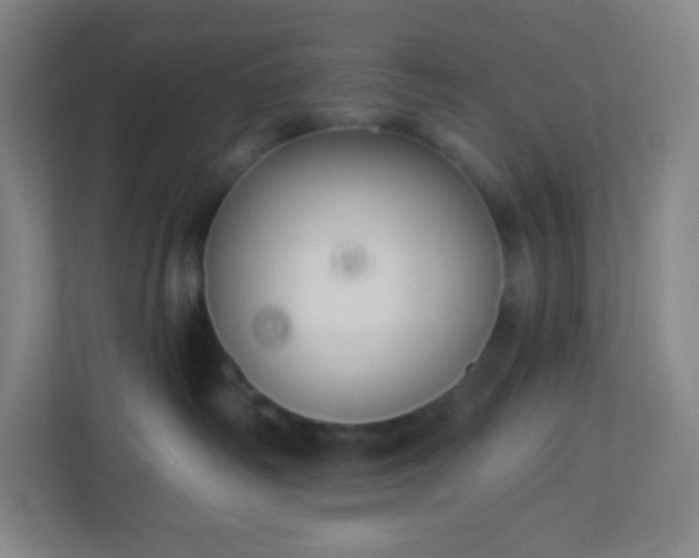 X0000113300334200909281109