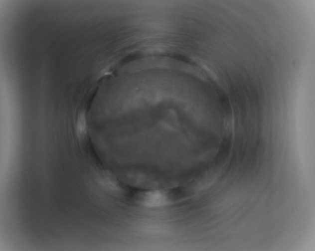 X0000113300335200909281109