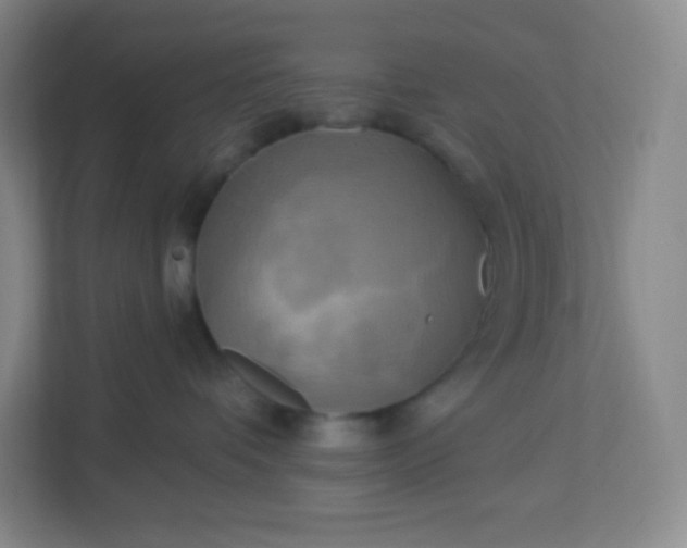 X0000113300336200909281109