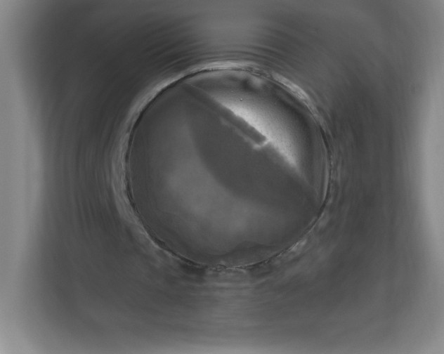 X0000113300337200909281109