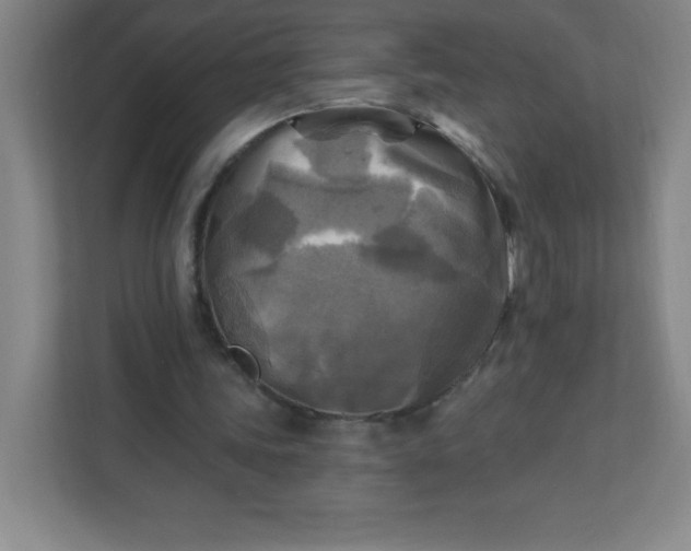 X0000113300339200909281109