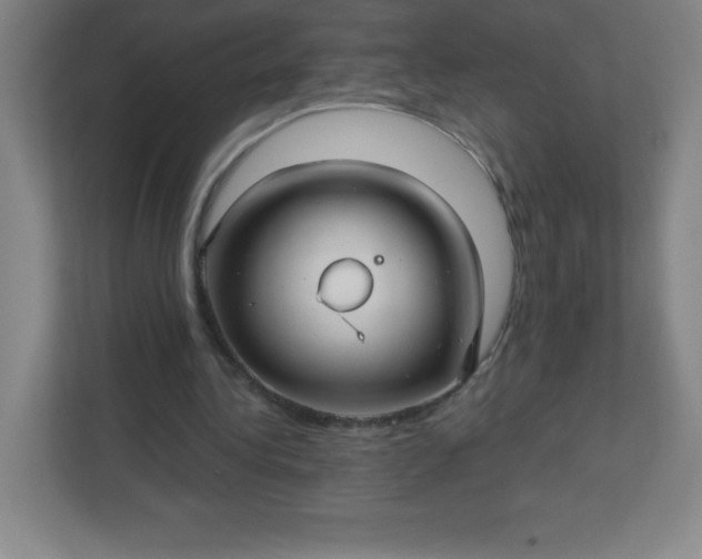 X0000113300340200909281109