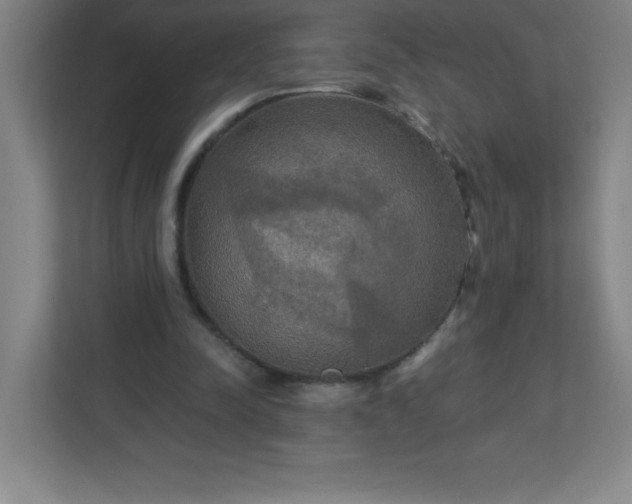 X0000113300342200909281109