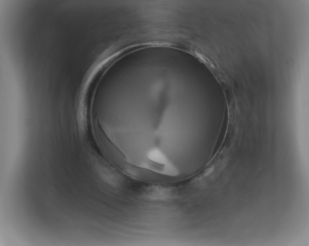 X0000113300343200909281109