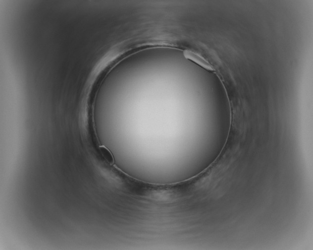 X0000113300344200909281109